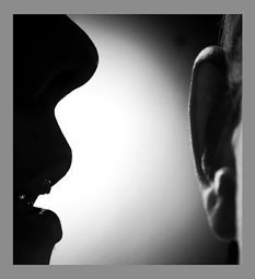 Workshops and Guest Speaker Sessions